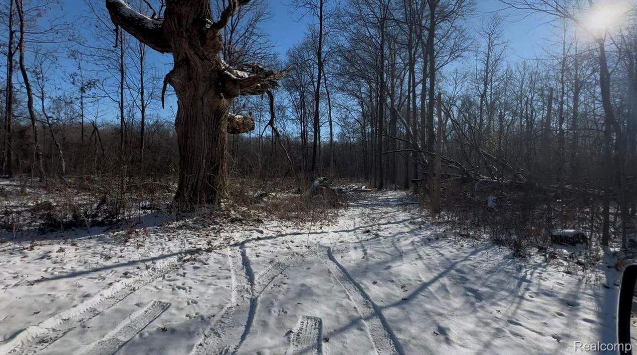 7021 Palms Road Road