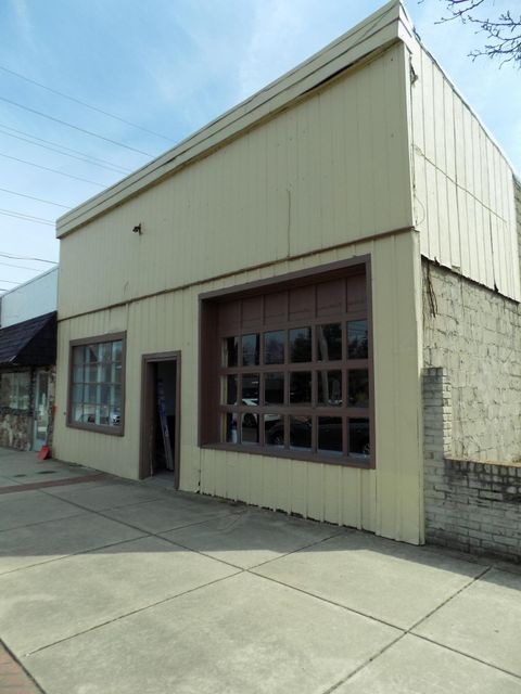 124 E Ferry Street Berrien Springs Village MI 49103