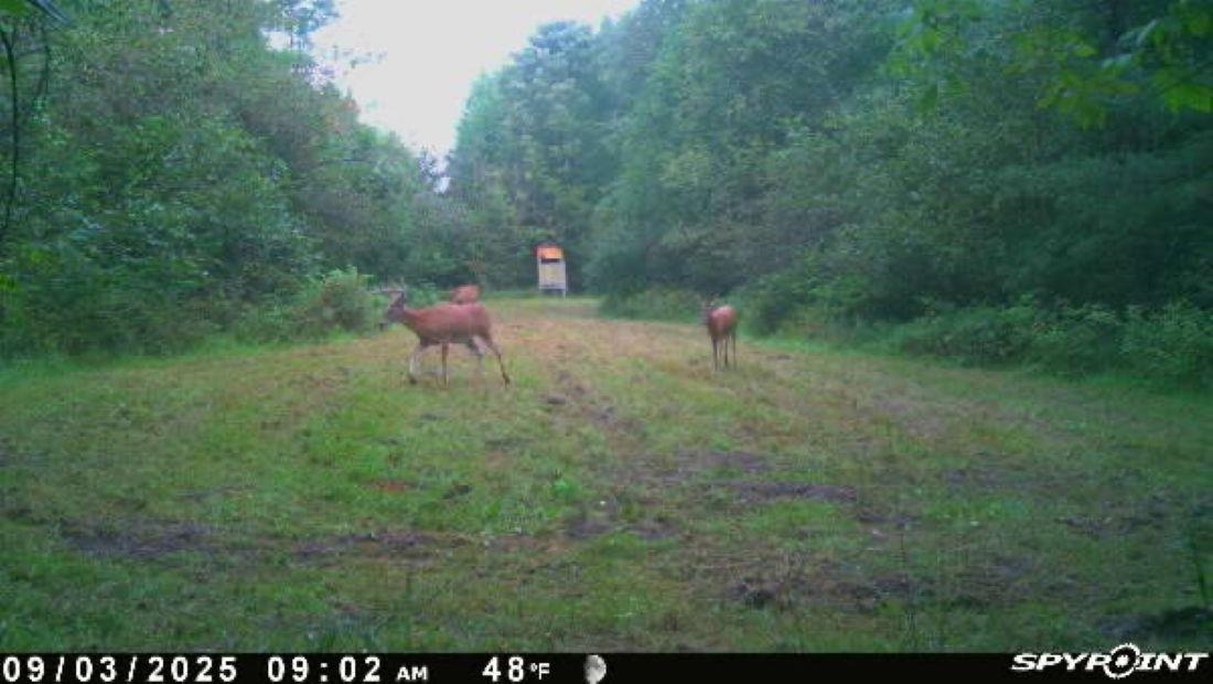 188 W Procunier Road