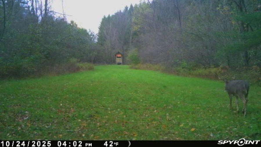 188 W Procunier Road