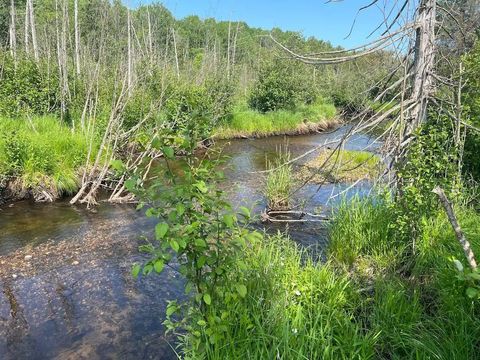 188 W Procunier Road Millen Township MI 48745