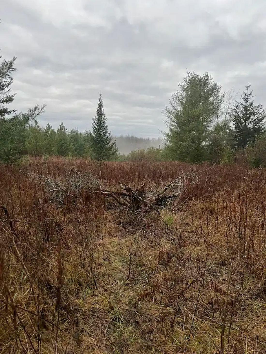 188 W Procunier Road