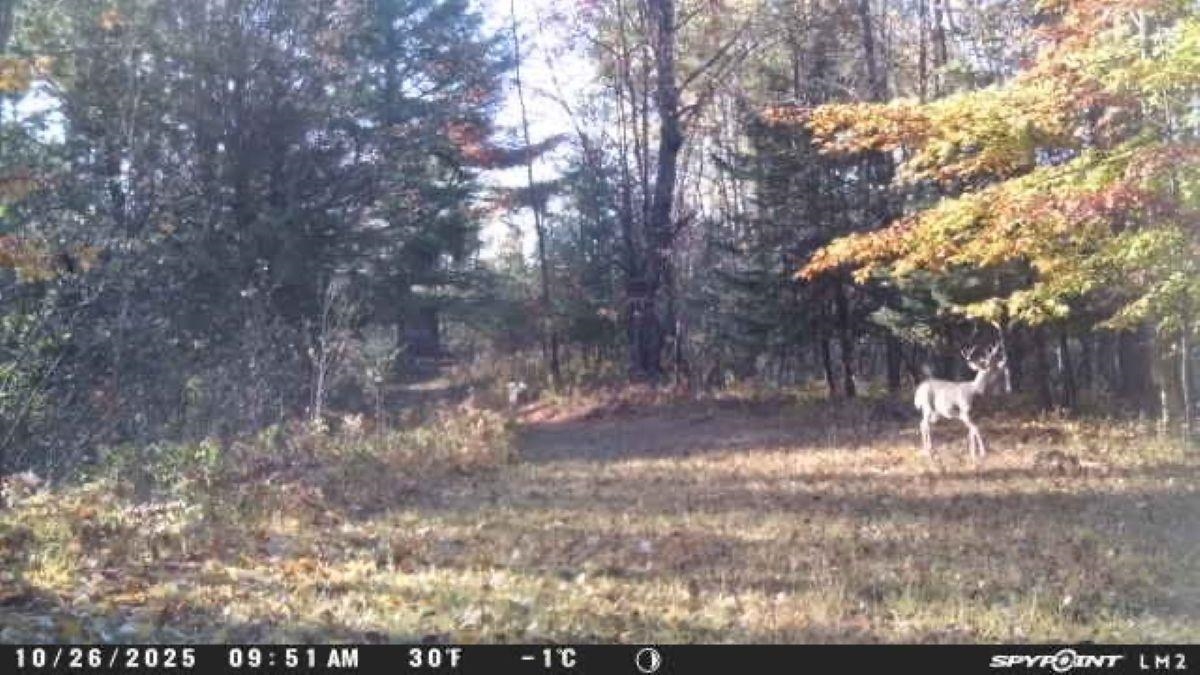 188 W Procunier Road