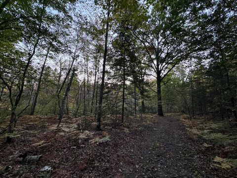 A home in HillTownship_Ogemaw