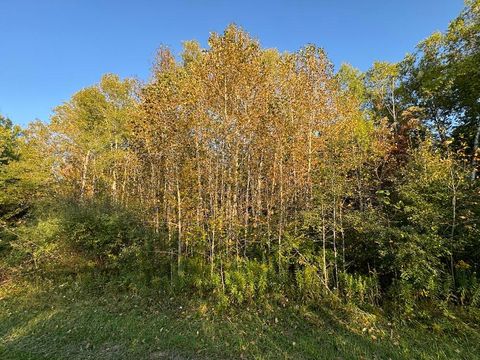 A home in HillTownship_Ogemaw
