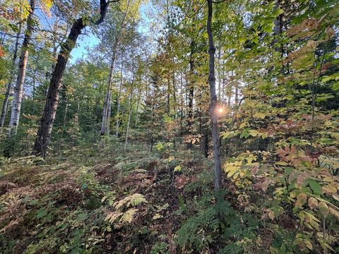 A home in HillTownship_Ogemaw