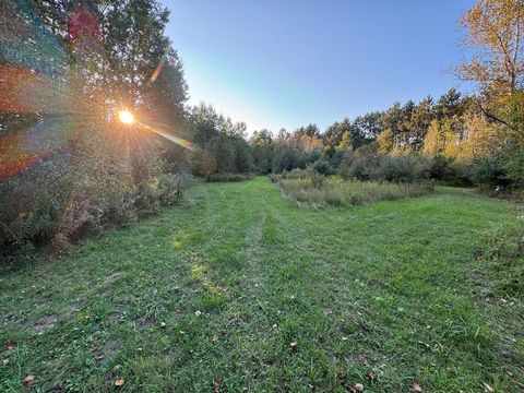 A home in HillTownship_Ogemaw