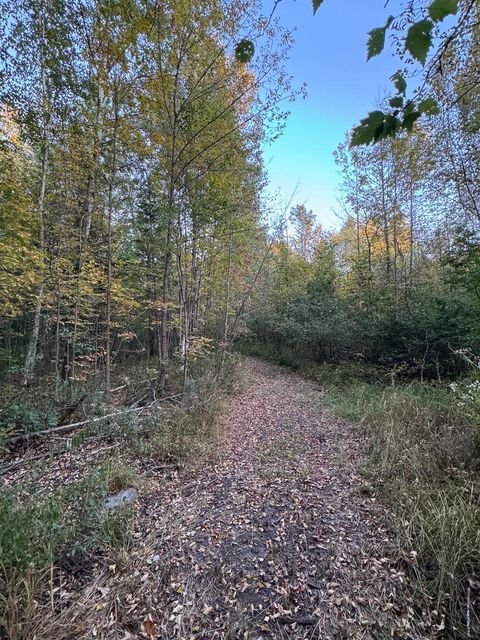 A home in HillTownship_Ogemaw