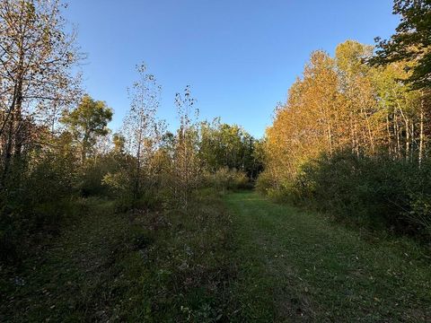A home in HillTownship_Ogemaw