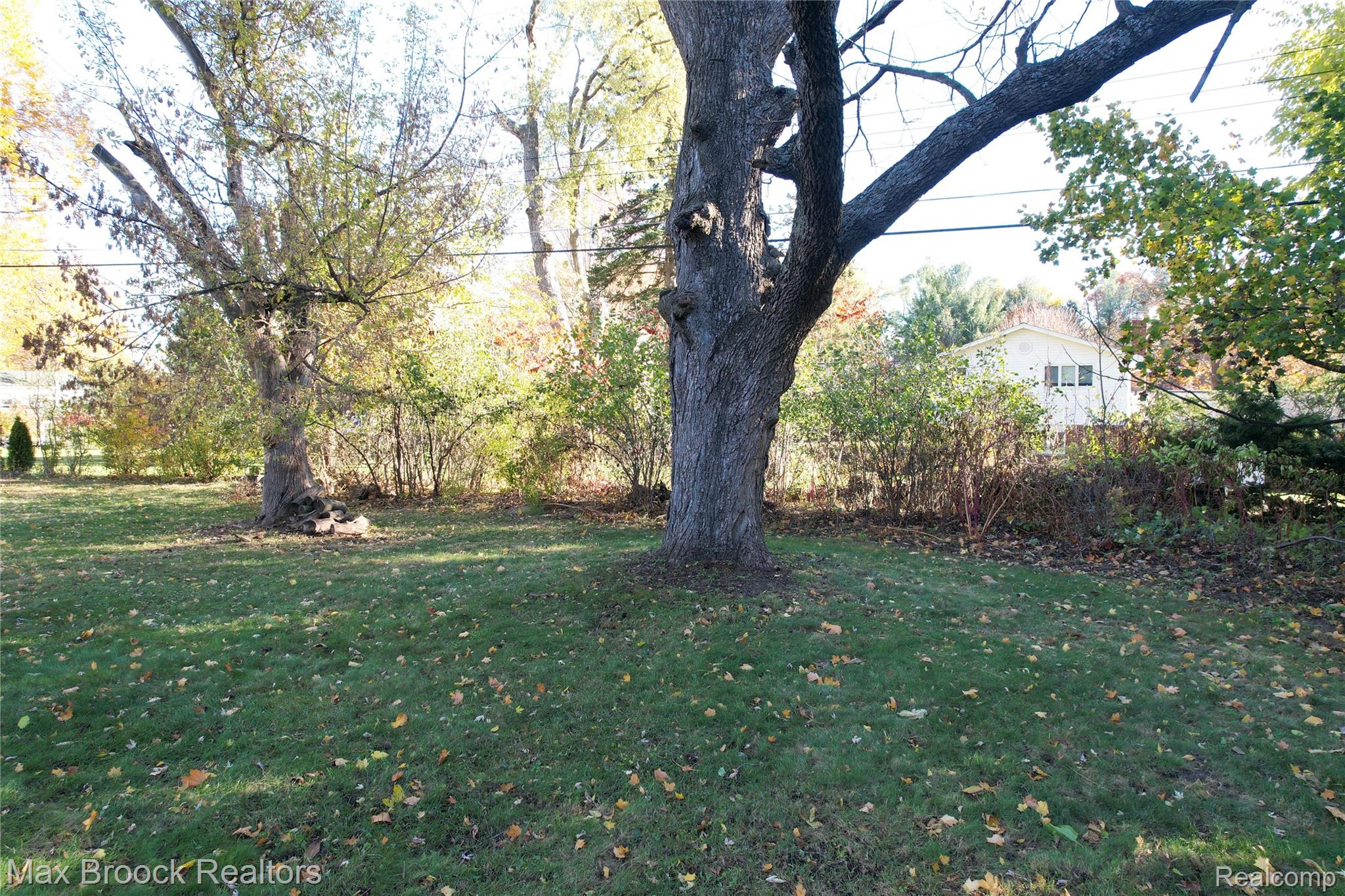 30024 Beacontree Street