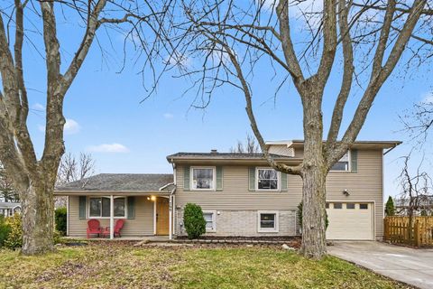 799 Alta Mason City MI 48854