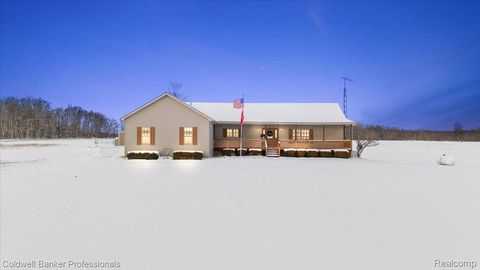 8661 Turner Road Goodland Township MI 48444