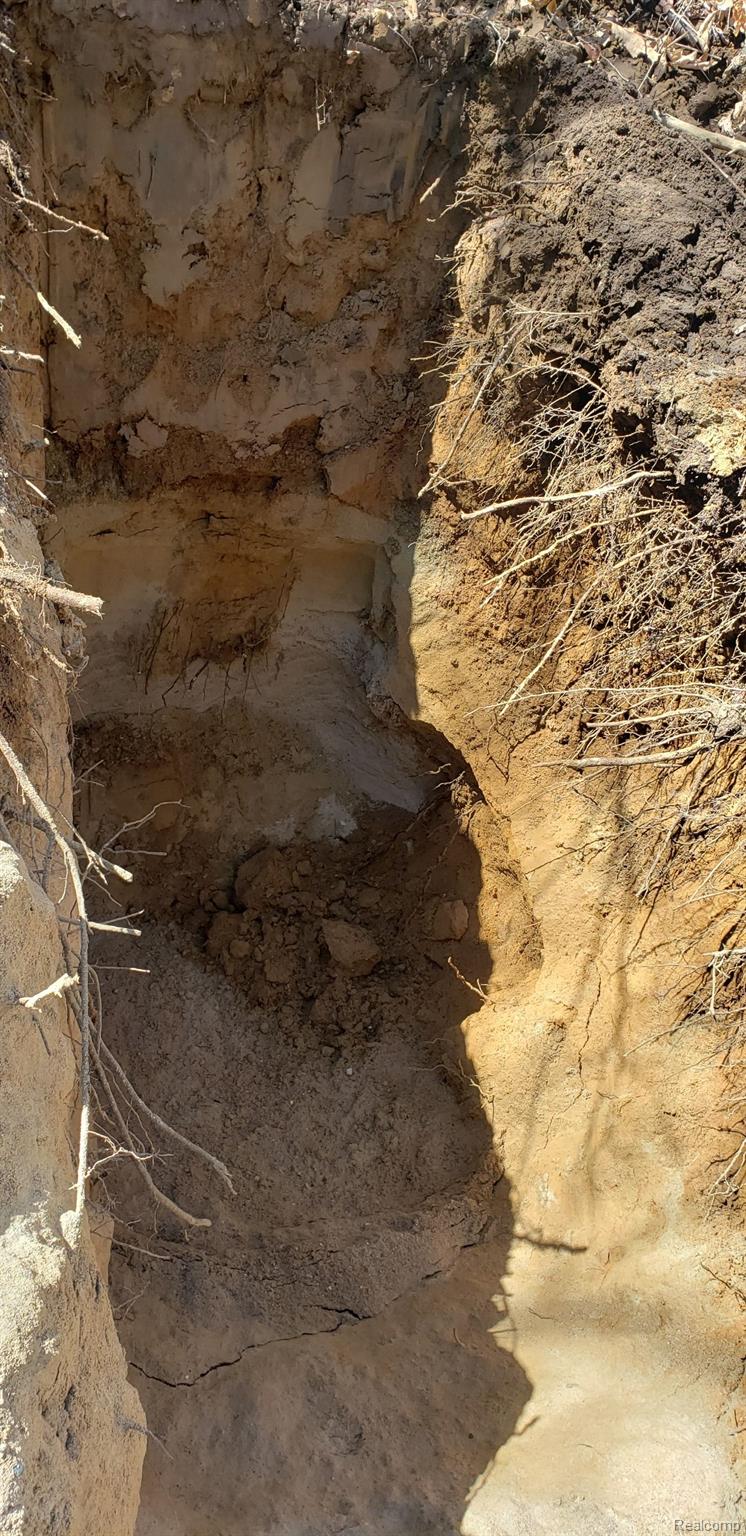 11663 Colangelo Lane