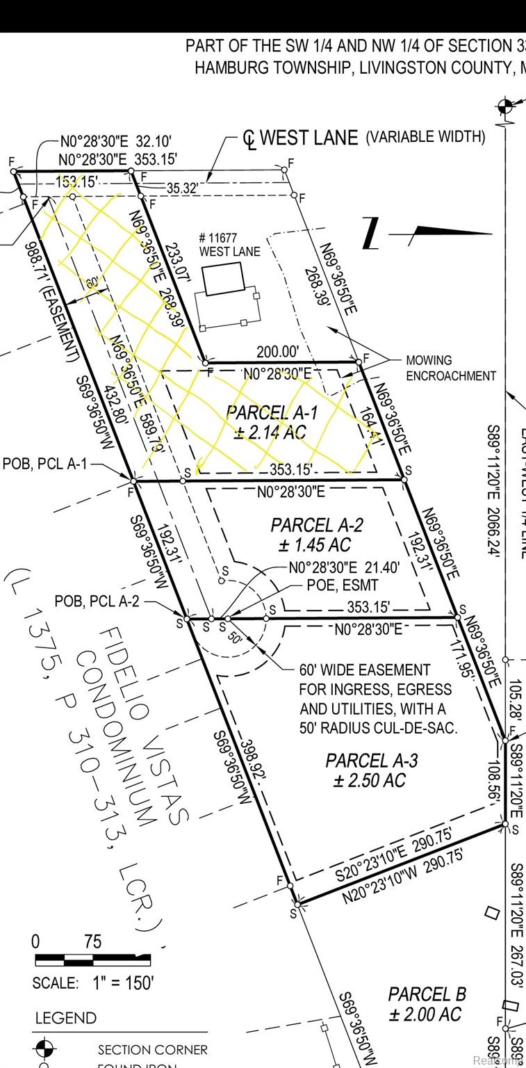 11663 Colangelo Lane