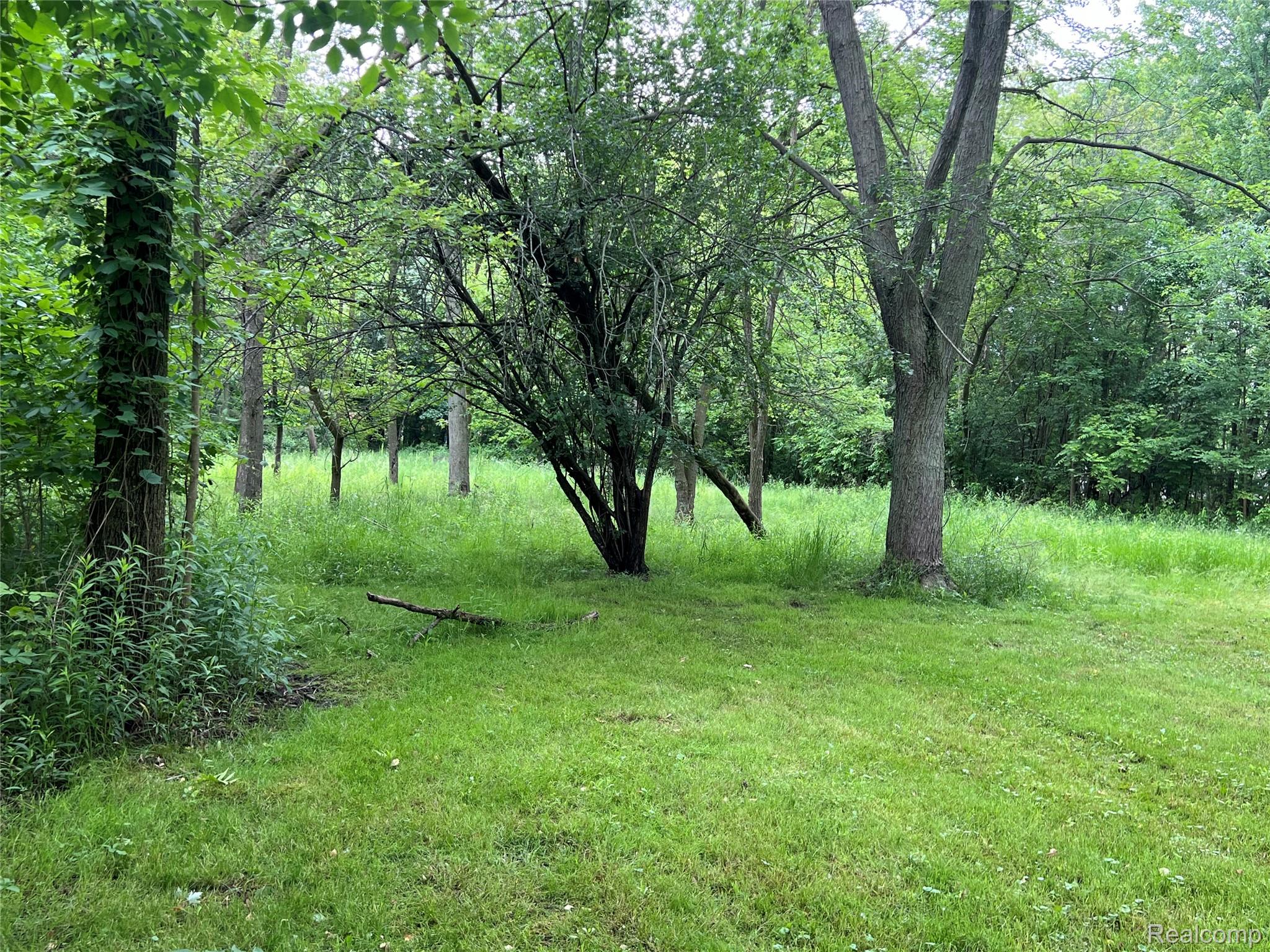 3031 Strawberry Lane