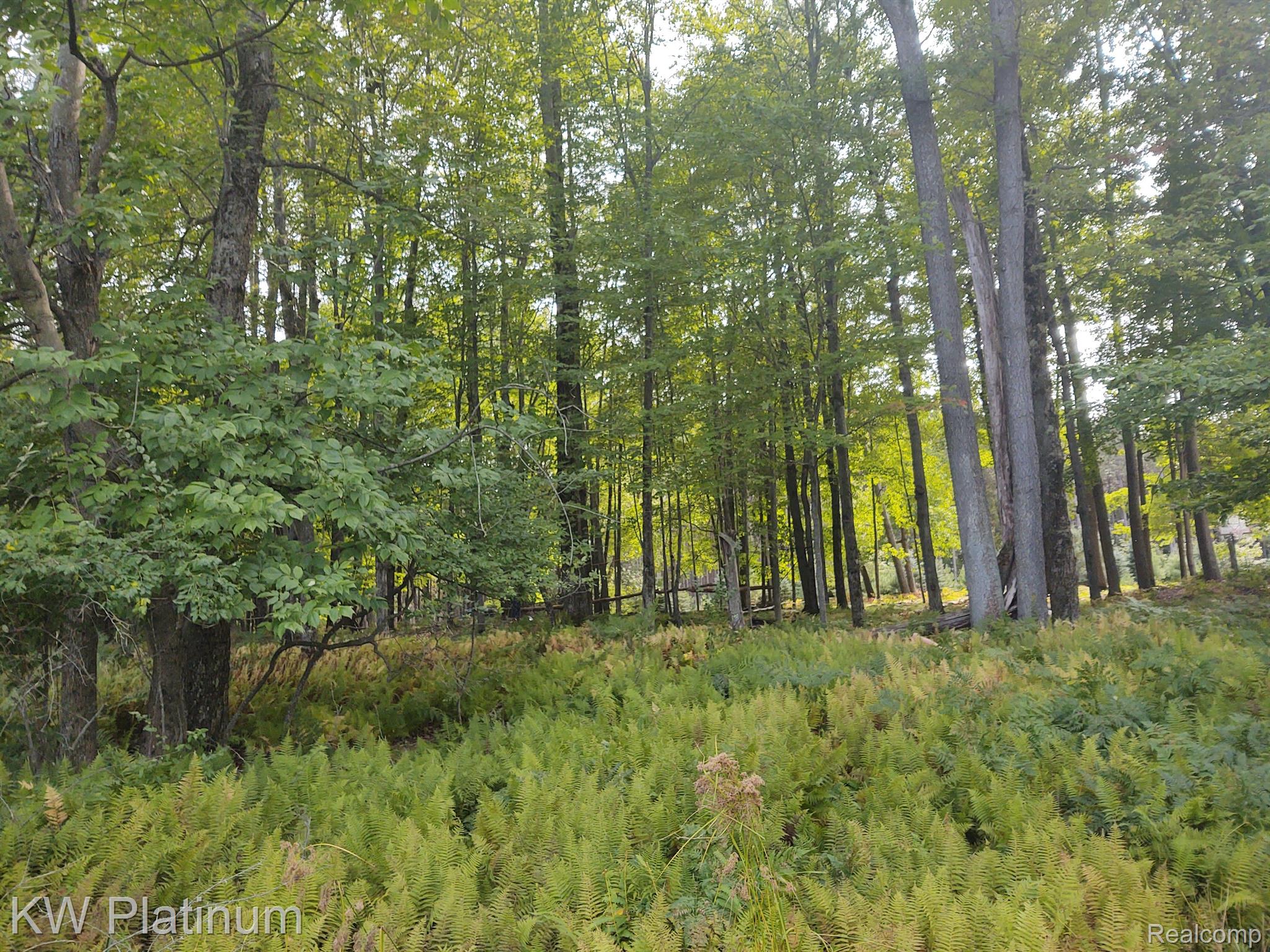 9552 FAWN LAKE Drive