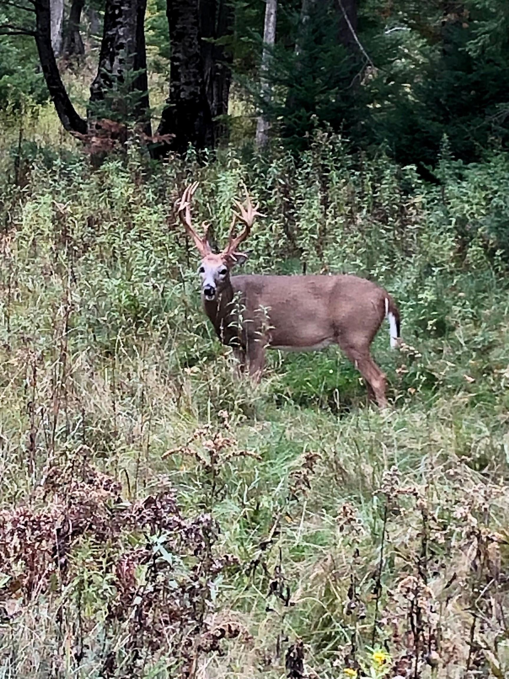 8401 S Sullivan Road