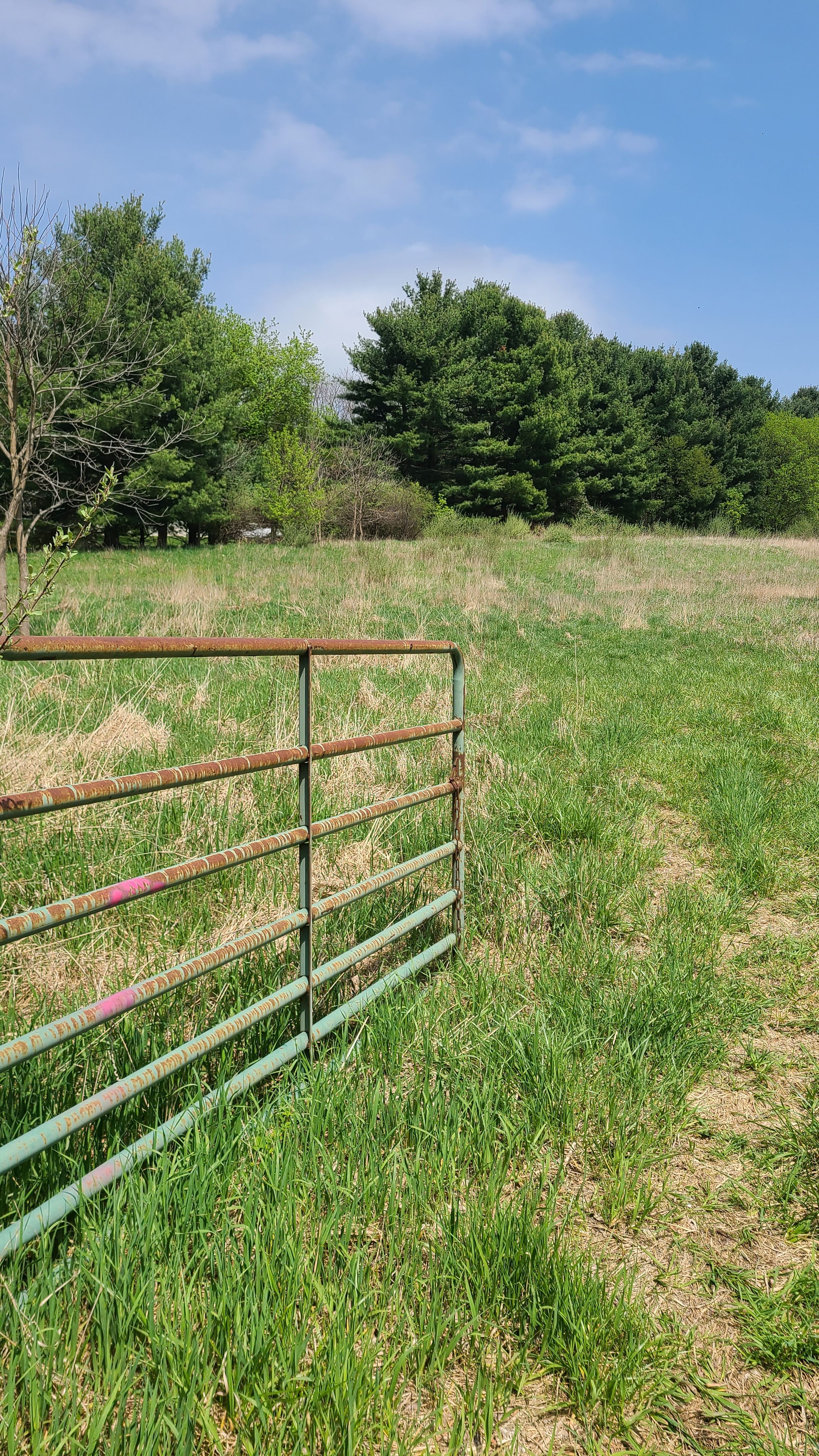 000 Pheasant Run