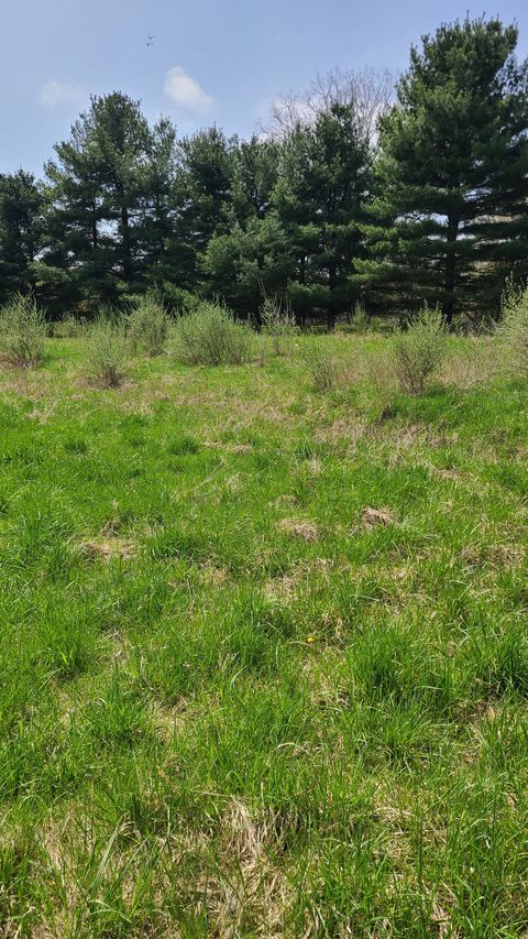000 Pheasant Run Marion Township Livingston MI 48843