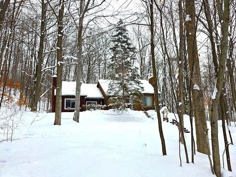 6479 Kliffendorf Drive Custer Township MI 49615