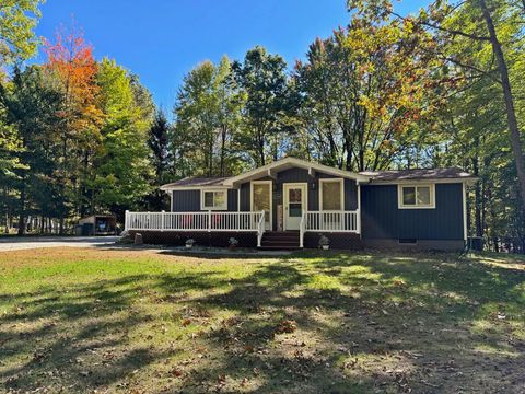 11167 Birwood Drive Morton Township MI 49346