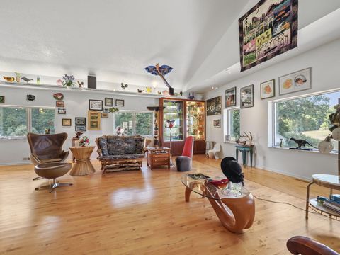 A home in BrownTownship_Manistee