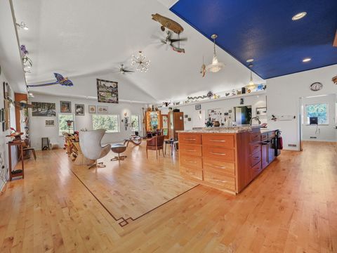 A home in BrownTownship_Manistee