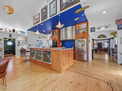 A home in BrownTownship_Manistee