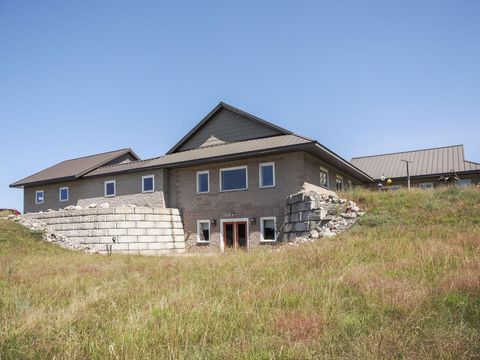 A home in BrownTownship_Manistee