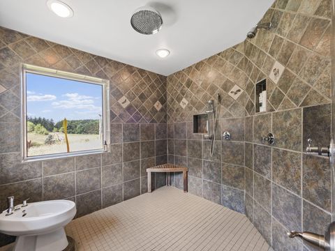 A home in BrownTownship_Manistee