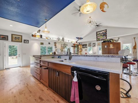A home in BrownTownship_Manistee