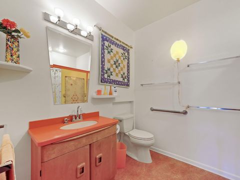 A home in BrownTownship_Manistee