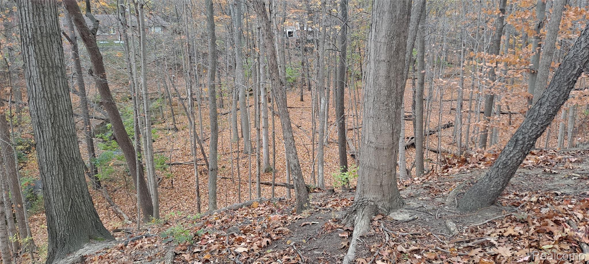 0000 Inkster Rd Road