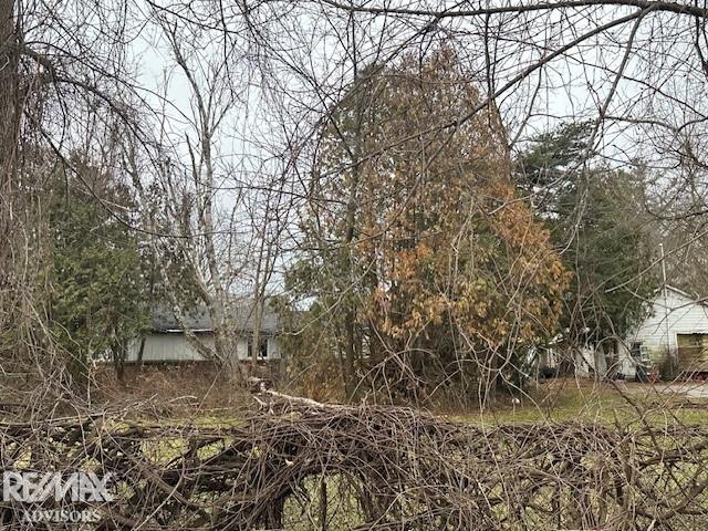 26936 Kuchenmeister Street