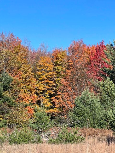 247 Blue Heron Drive Orange Township MI 49646