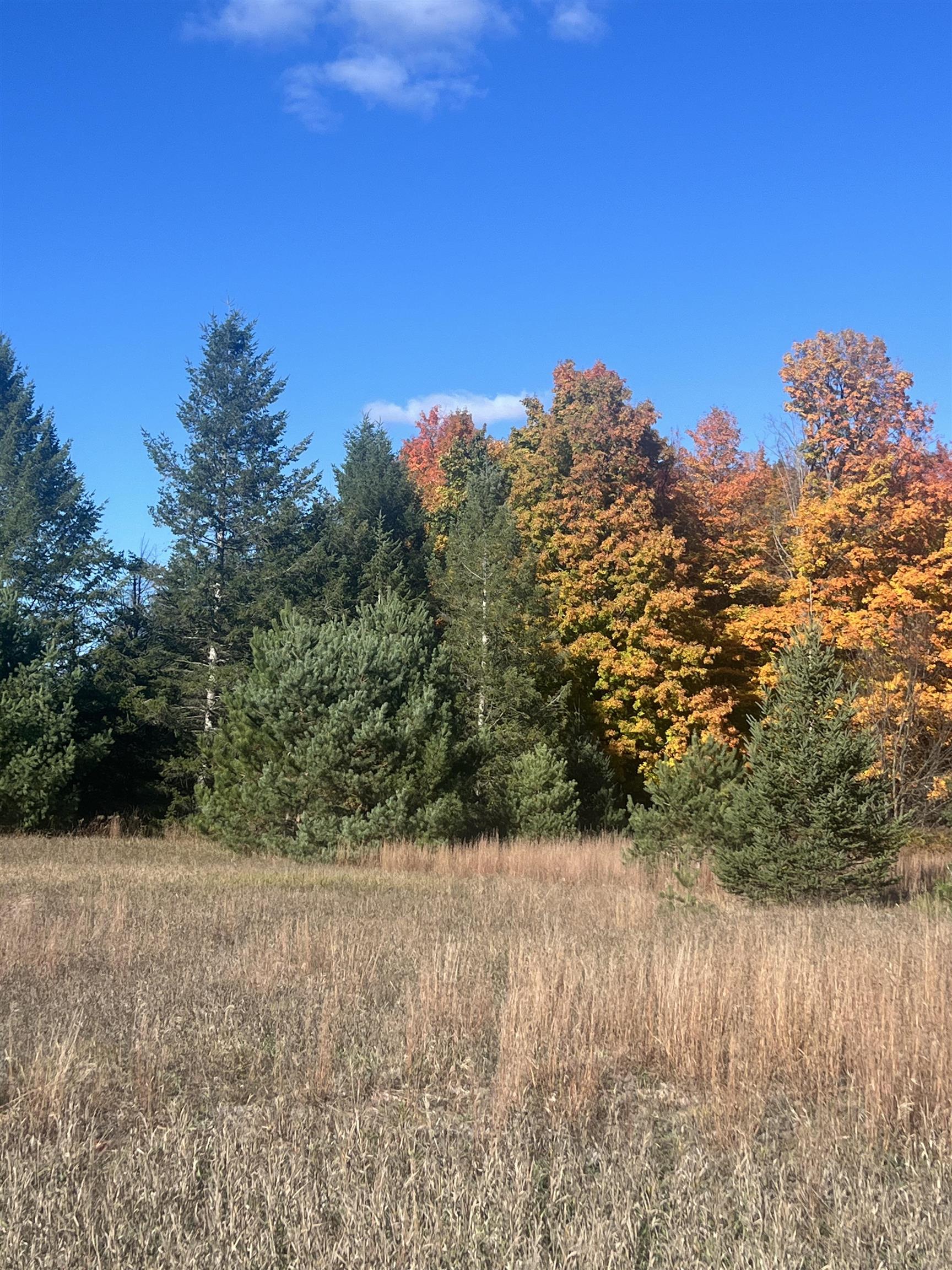 247 Blue Heron Drive