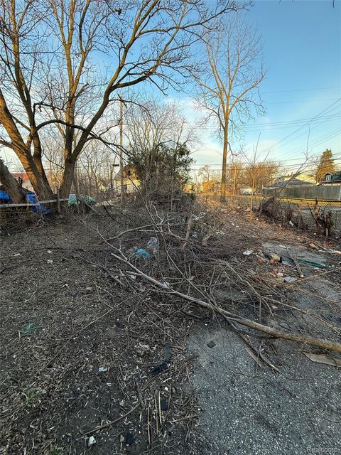 Tiny photo for 18036 Joann Street, Detroit City, MI 48205 (MLS # 20261021769)