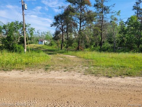 1680 McKee Road Vienna Township MI 49751