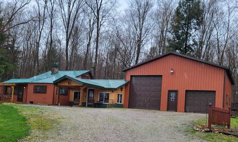 16545 Lonesome Trail Rose Lake Township Osceola MI 49655