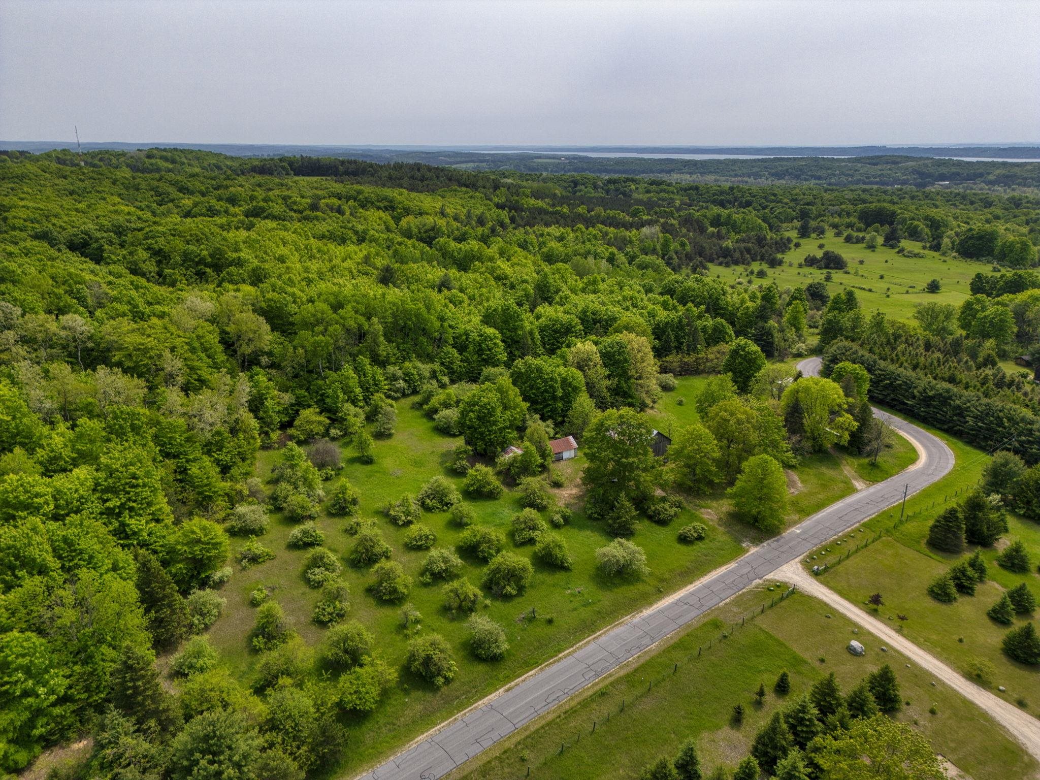 TBD Honey Hollow
