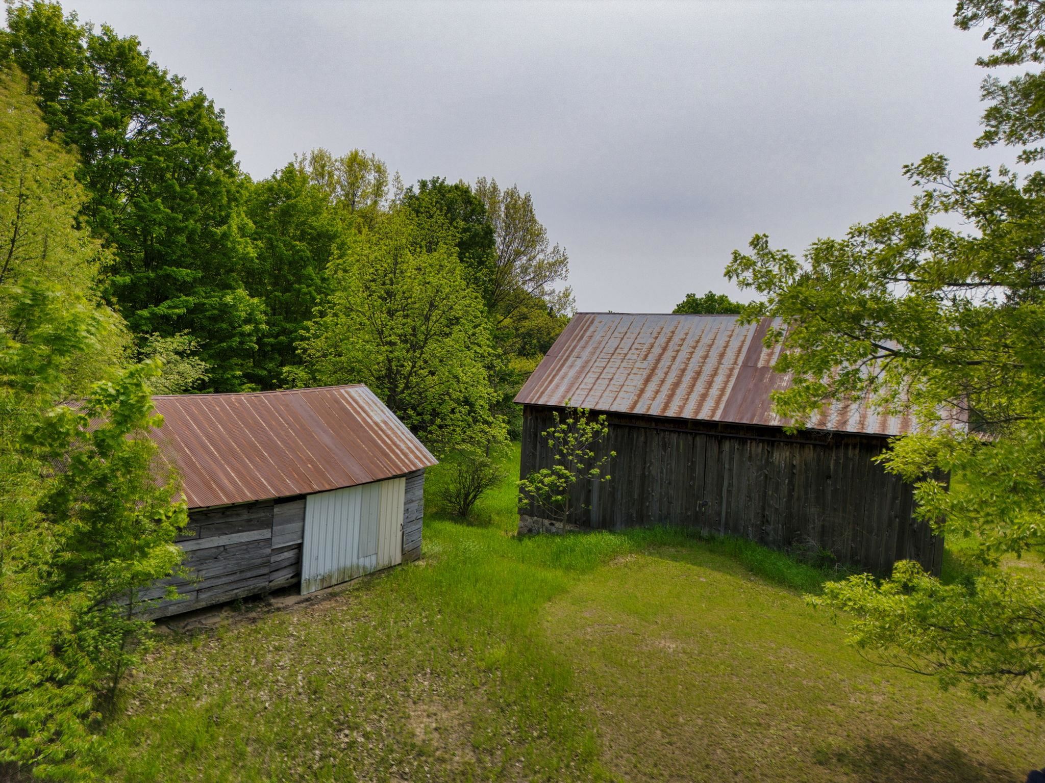 TBD Honey Hollow
