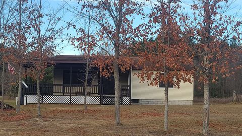 740 E East County Line Road Liberty Township MI 49649