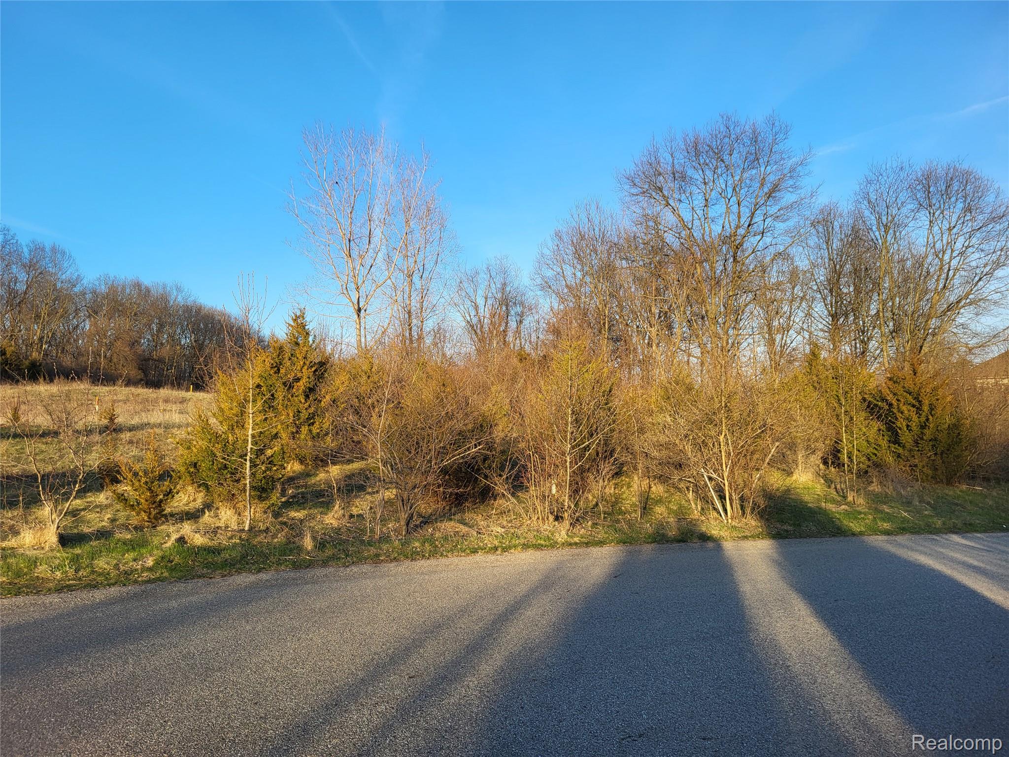 TBD Parcel B Olivia Drive