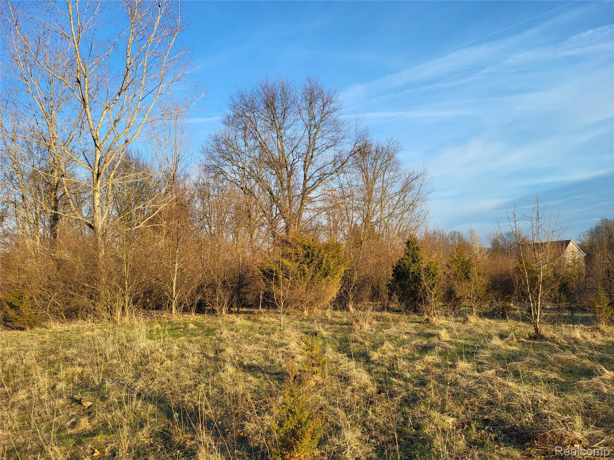 TBD Parcel B Olivia Drive