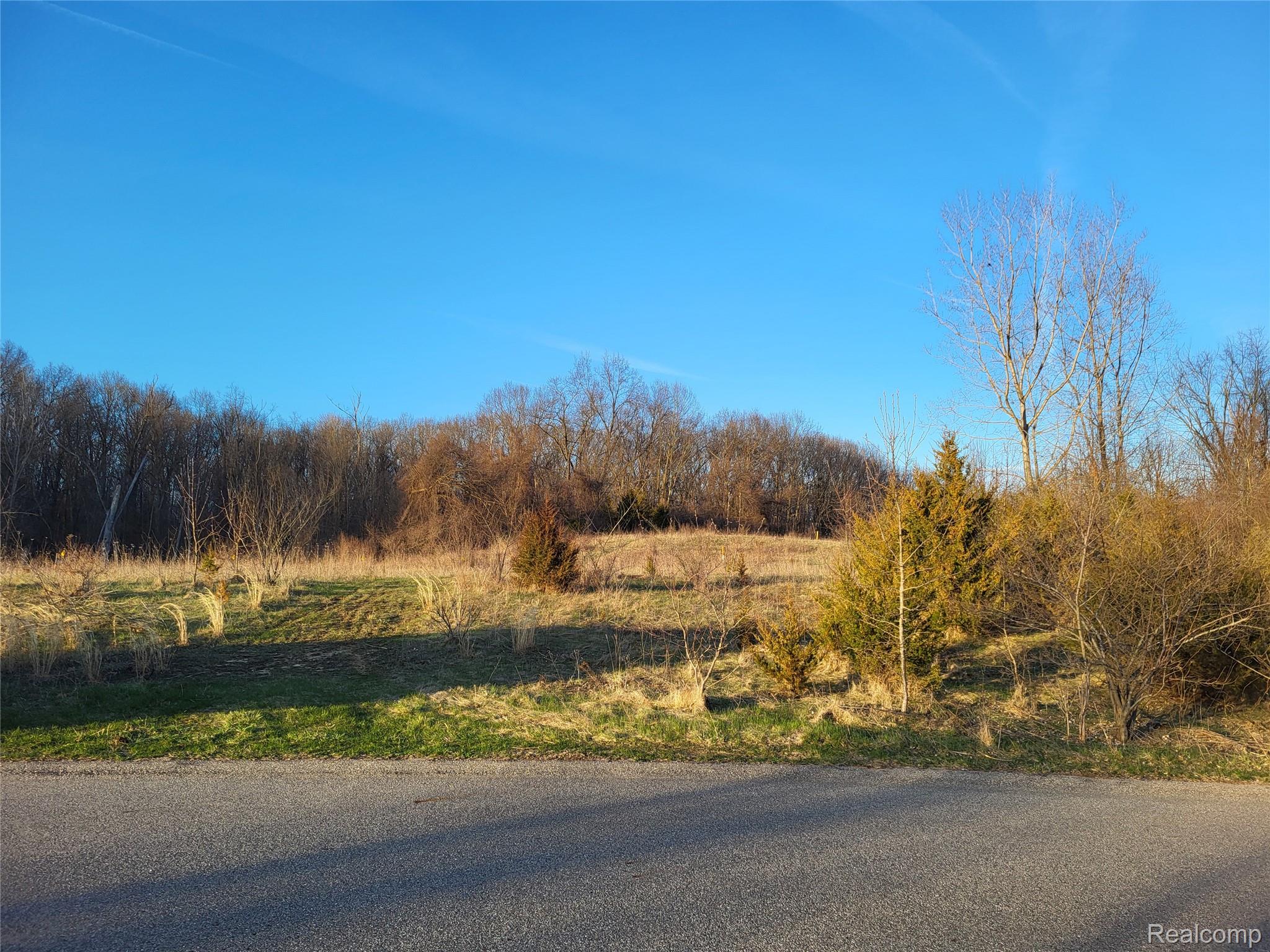 TBD Parcel B Olivia Drive