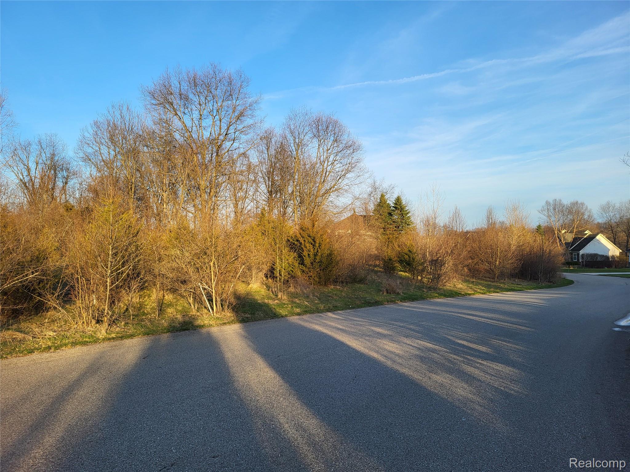 TBD Parcel B Olivia Drive