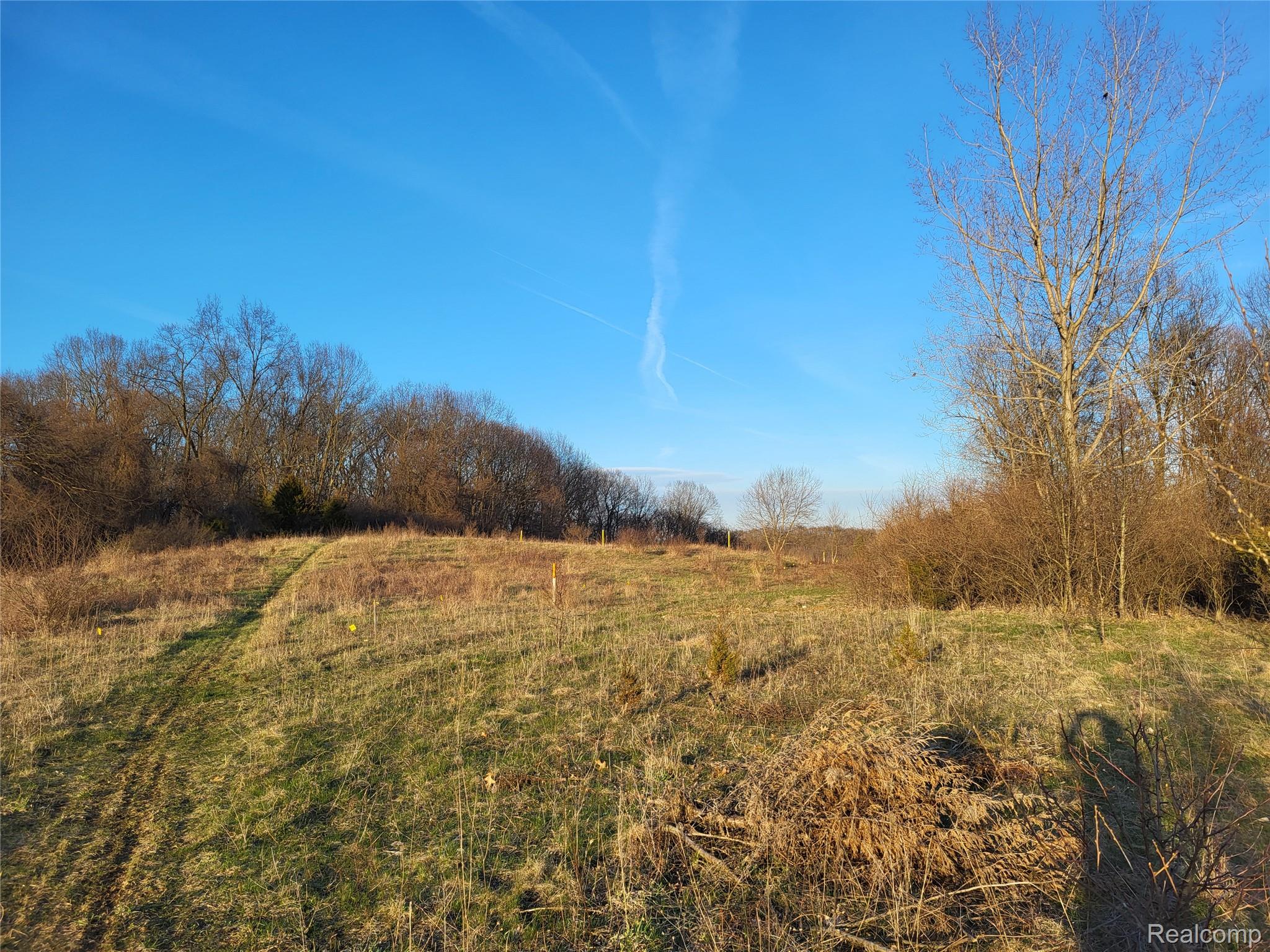 TBD Parcel B Olivia Drive