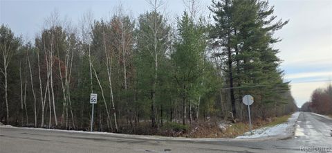 1470 E Burt Road E Taymouth Township MI 48417