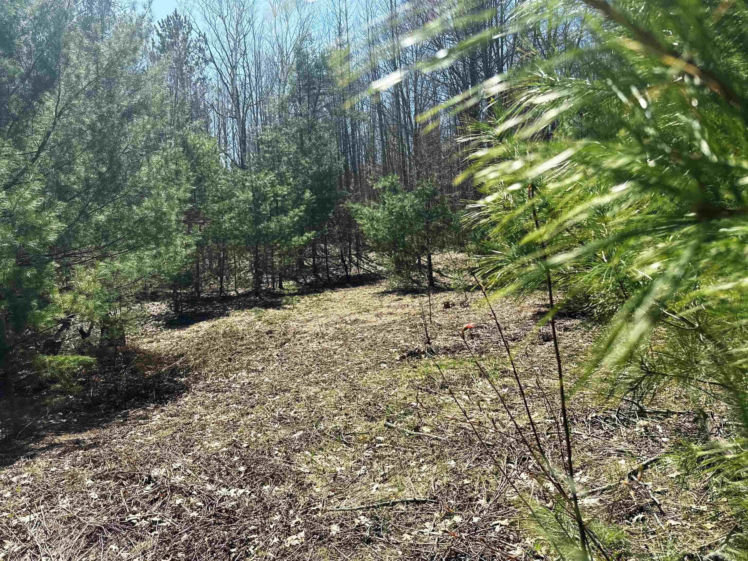 V/L SE Bobcat Trail