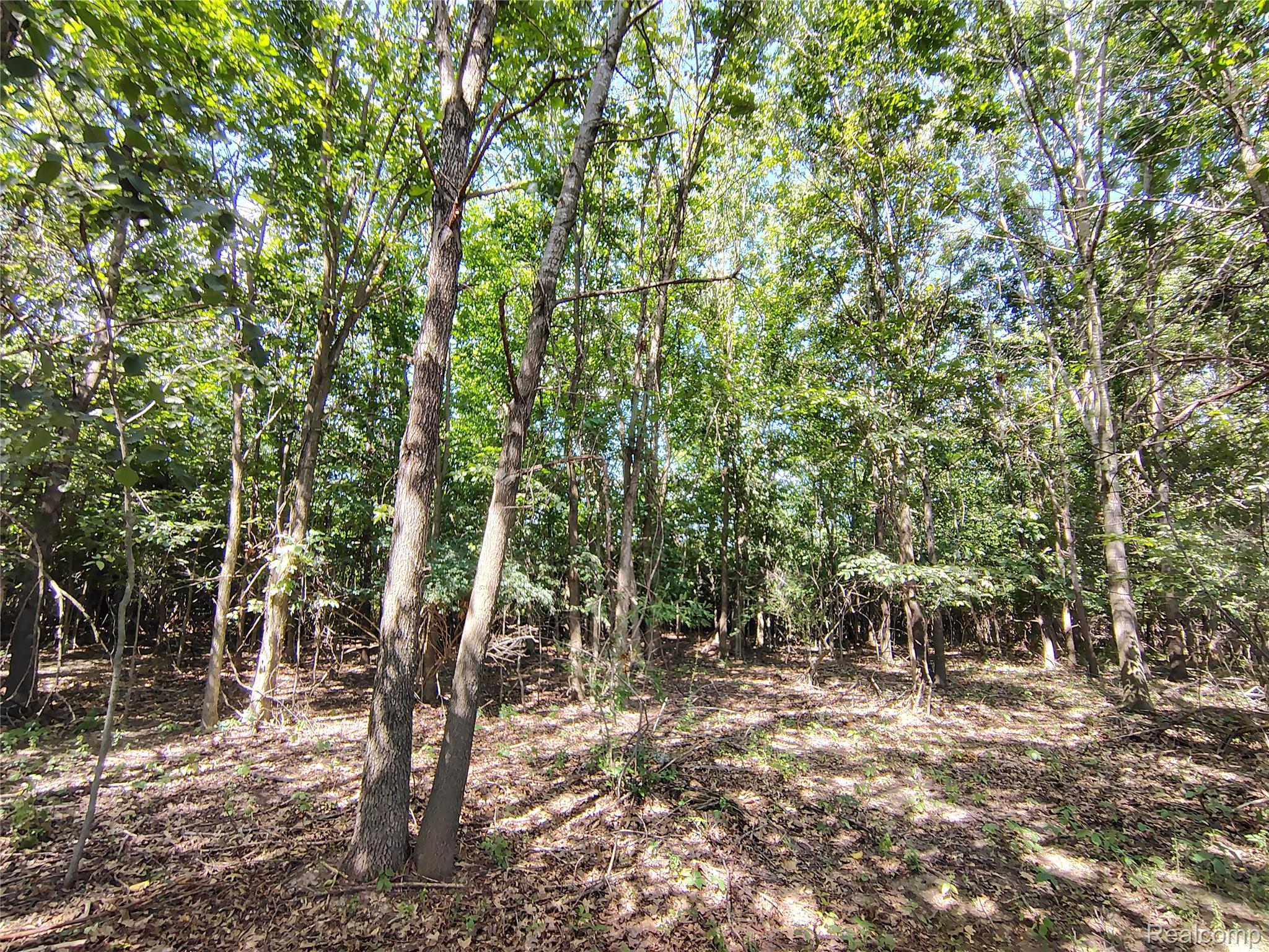 Parcel D Brigham Road